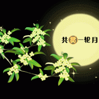 奧邦|遙望月將圓，顧家正當(dāng)時