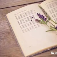 相約夏季，在奧邦邂逅書香